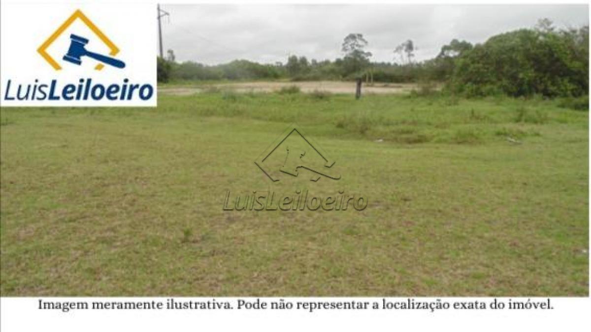 Gleba de terras, denominada Gleba Buritizal 6, no município de Canto do Buriti/PI. Com área de 3.000 hectares.