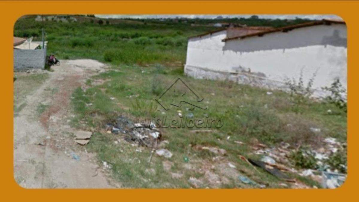 TERRENO URBANO, À RUA PROJETADA (PROXIMO AVENIDA PERIMETRAL E AO PETI), CENTRO, ARARIPINA/PE. COM ÁREA DE 200,00M².