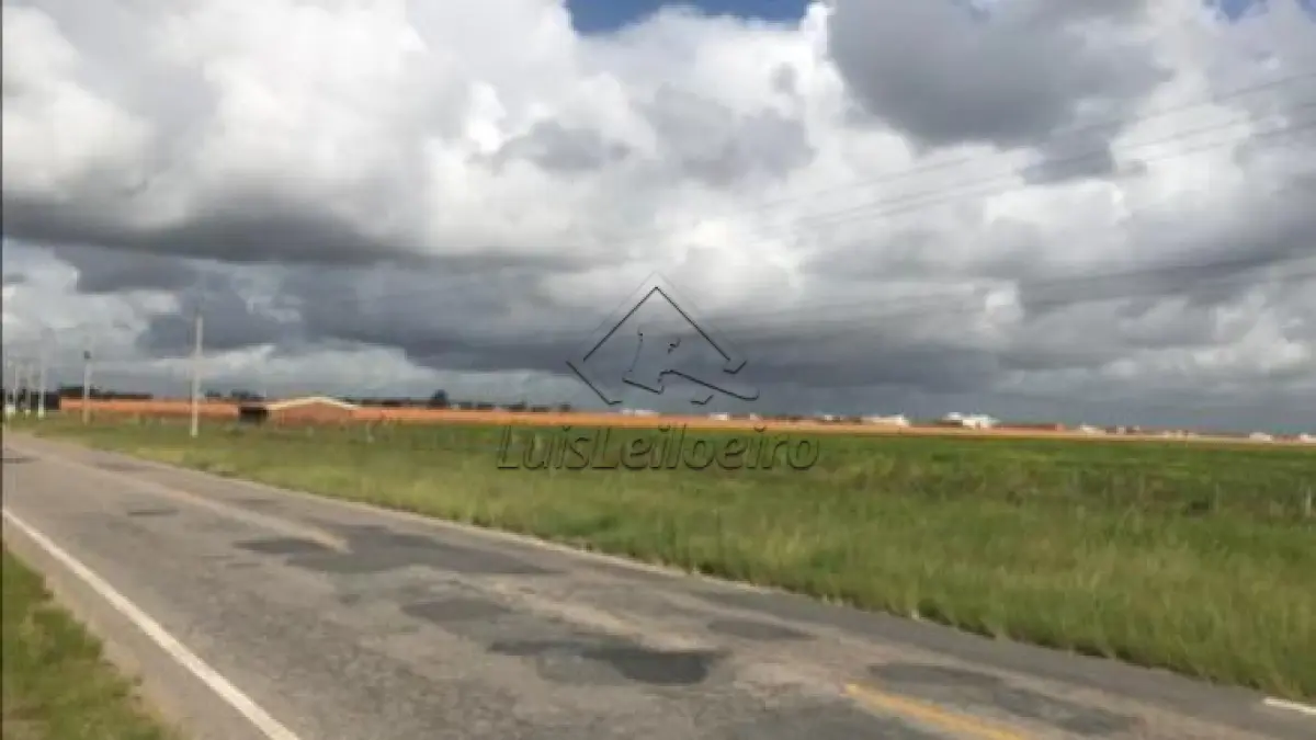 UMA FRAÇÃO DE TERRAS SEM BENFEITORIAS Av. ADOLFO FETTER, LARANJAL, CAMPO PELOTAS, COM AREA TOTAL DE 56ha