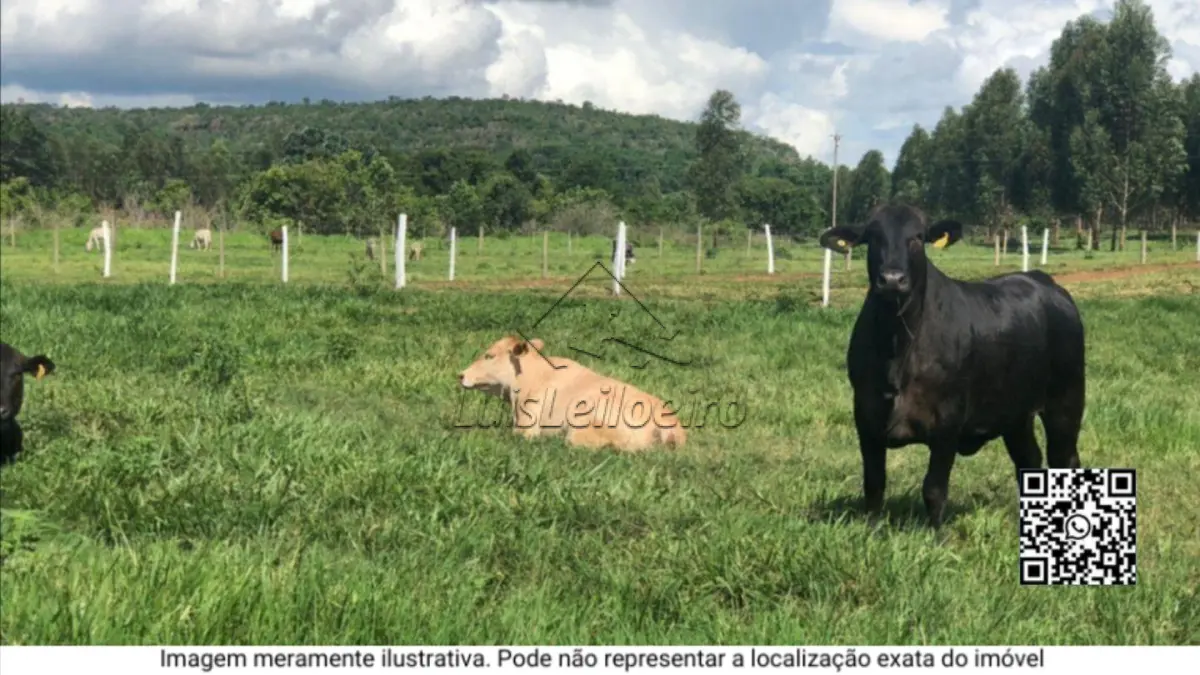 Gleba de terras - na Fazenda Rex , com área total de 20.856,07 m²