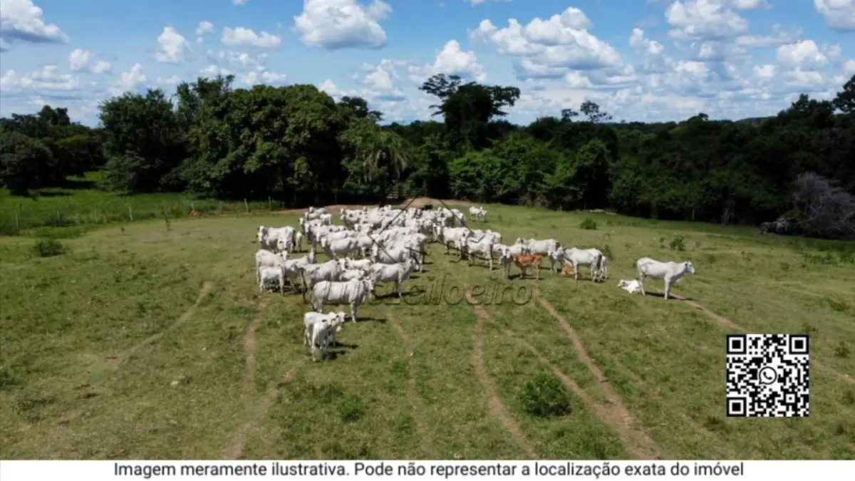 LOTES DE TERRAS SOB OS NºS 2.521/A, 2.134/A, 2.521/D E 2.134/1, LOCALIZADOS NOS FUNDOS DA ESTRADA DE SCHROEDER/SC. ÁREA TOTAL DE 1.148.600,00 M²