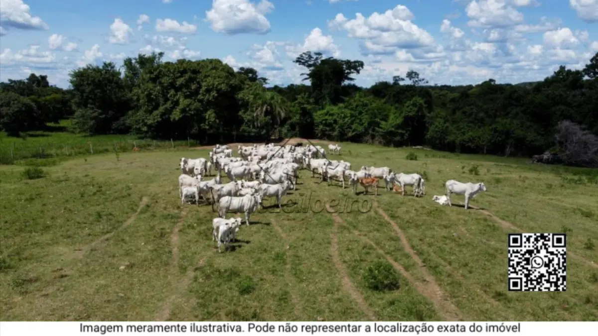 Fazenda - Água Limpa Brasil, em Guape-MG
