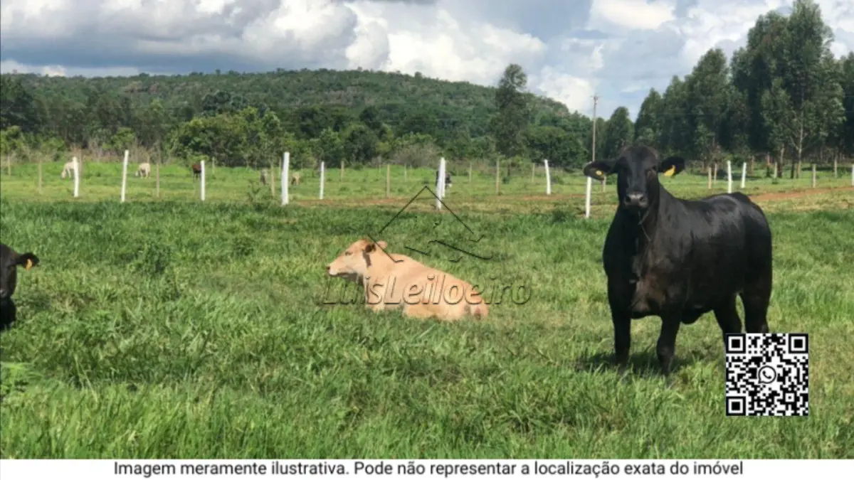 989 HA - Engenho Jenipapo Ipojuca-PE