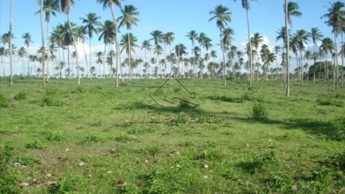 Fazenda Camaçari, na área rural de BA/Barra, com área total de 2.310ha