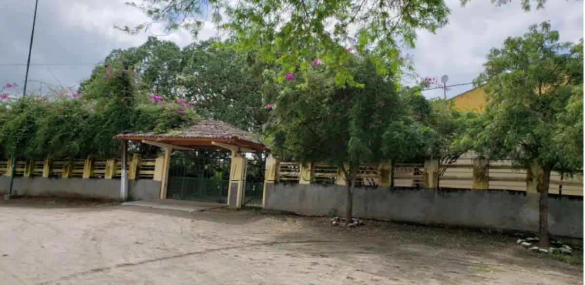 Gleba de Terras -Uma parte de terra que mede 195.9919 MASSARANDUBA (PB): FAZENDA MARIA DA LUZ, NA ZONA RURAL