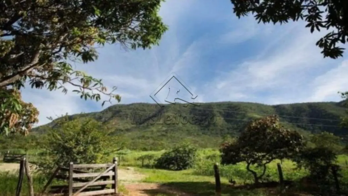 FAZENDA RENASCER - ANTIGO ENGENHO SANTO ANTÔNIO, COLÔNIA LEOPOLDINA/AL, COM ÁREA TOTAL DE 180,2 HECTARES