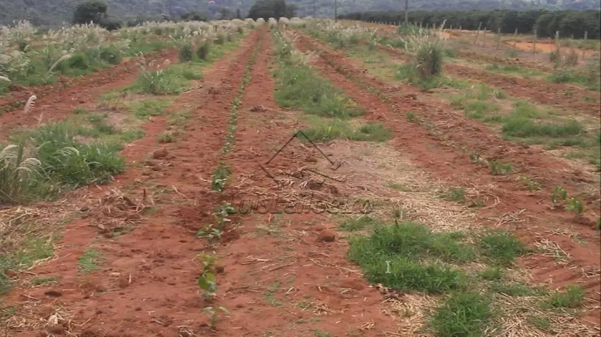 Gleba de terras - Fazenda Ouro Verde, Jaboticabal , Gleba 06, Com área total de 85h, 17a, 47c (oitenta e cinco hectares, dezessete ares e quarenta e sete centiares)