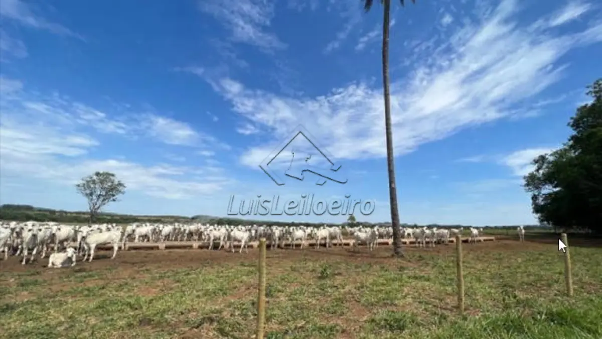 Gleba d terras - Fazenda Porteira, Unai , com área total de (290,93,99ha)