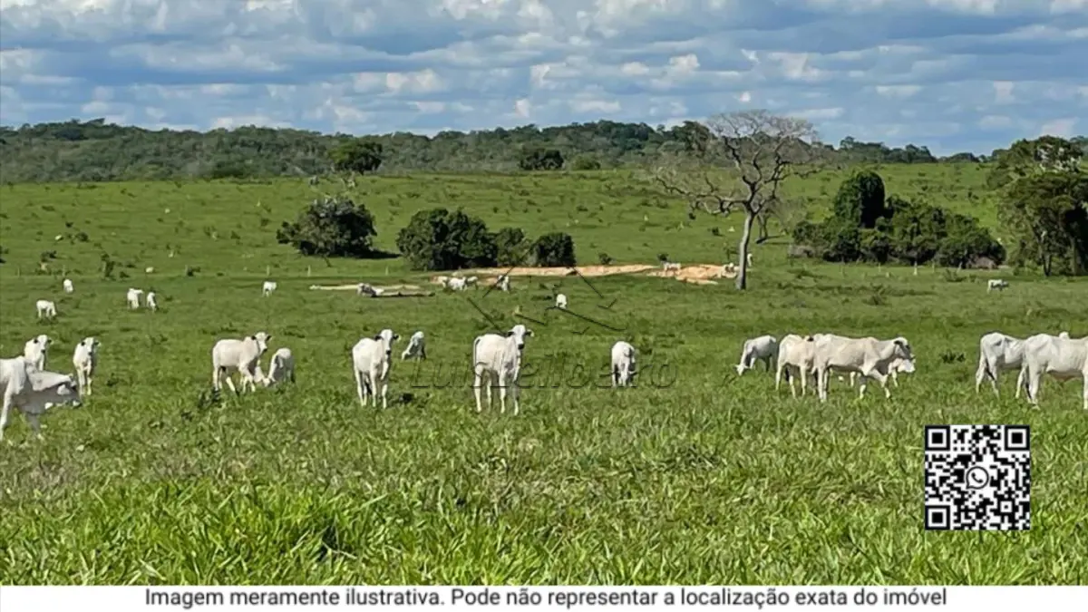 Uma sorte de terras - na Fazenda Manabuiu , Lagoa Grande
