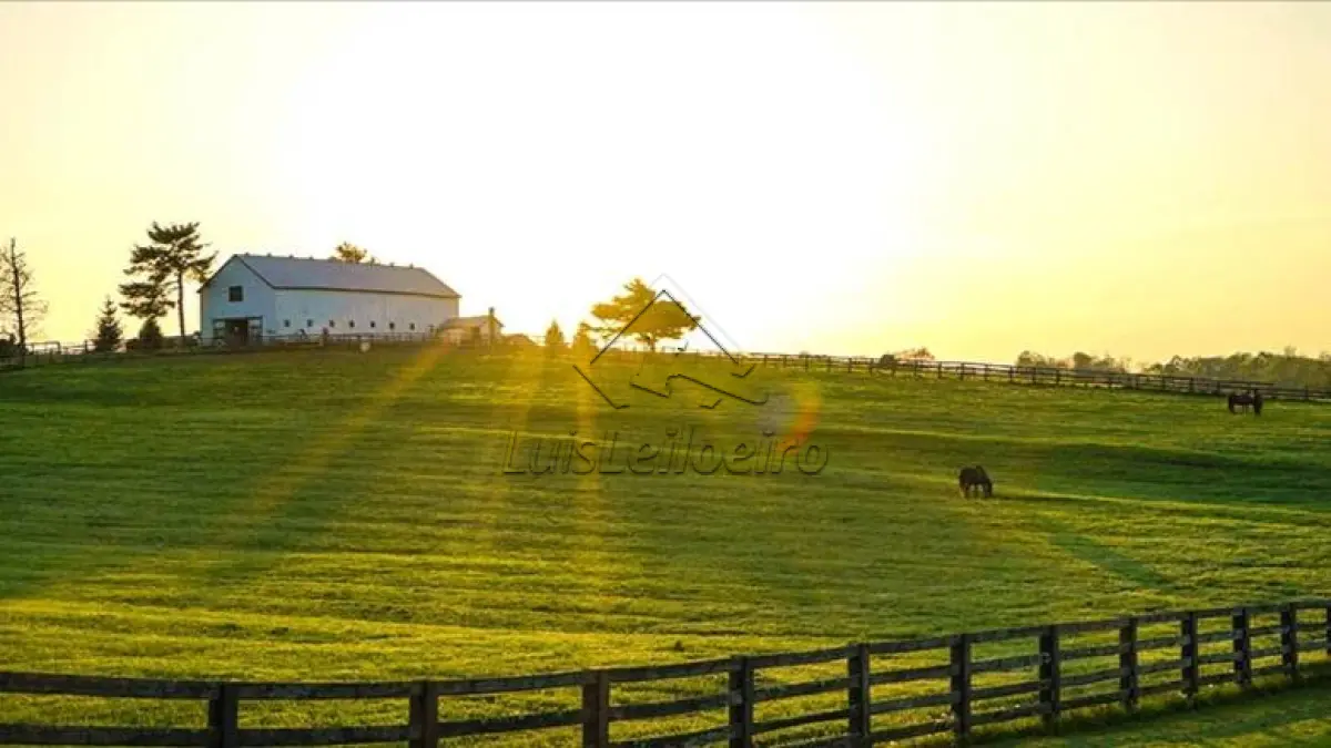 FAZENDA DOS FERROS 17,5HA - TRÊS CORAÇÕES