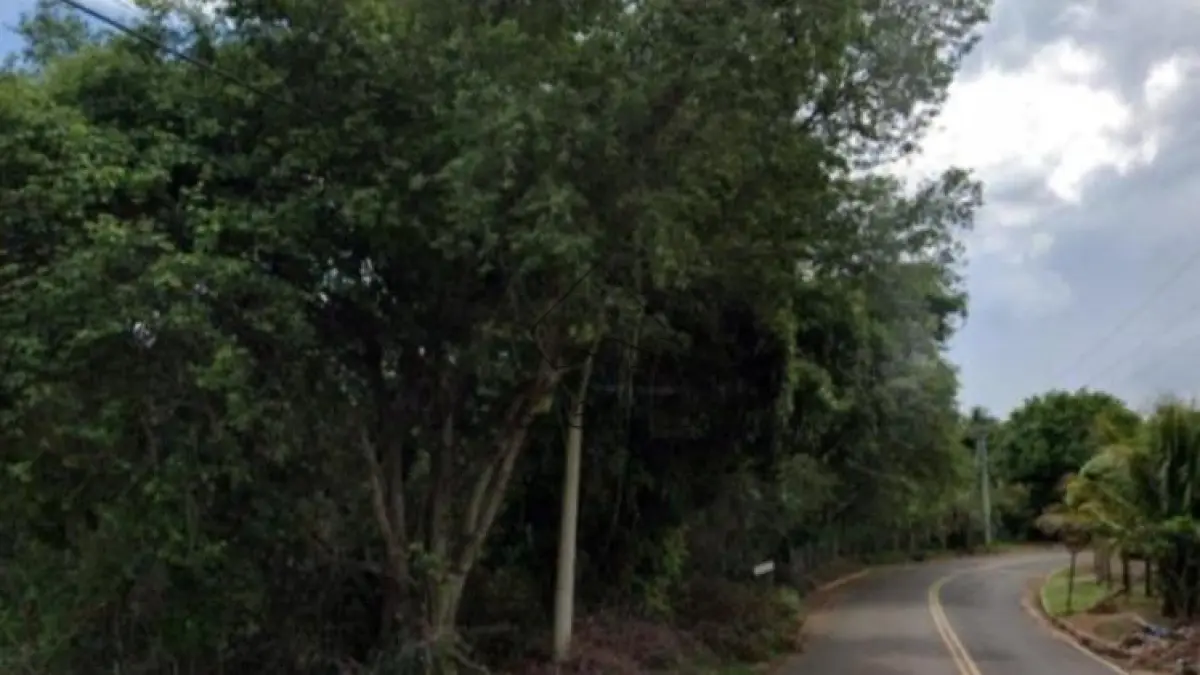 LOTE - ESTRADA MUNICIPAL PSB 435, ÁREA 07, DISTRISTO DE ARAXÃNS, PRESIDENTE BERNANDES/SP COM ÁREA DE 1.562,626M²