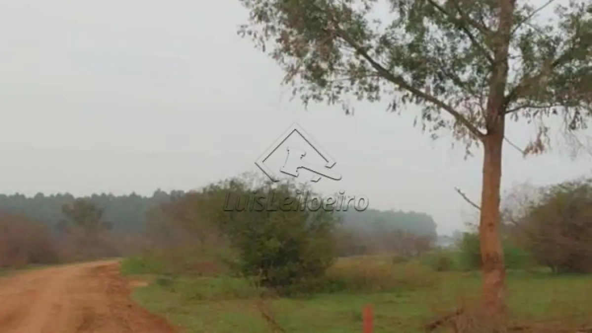 UMA FRAÇÃO DE TERRAS, SITUADA NO DISTRITO DE FERREIRA, CACHOEIRA DO SUL/RS, NO LUGAR DENOMINADO PASSO DO SERINGA, COM ÁREA DE 62HA1997,50