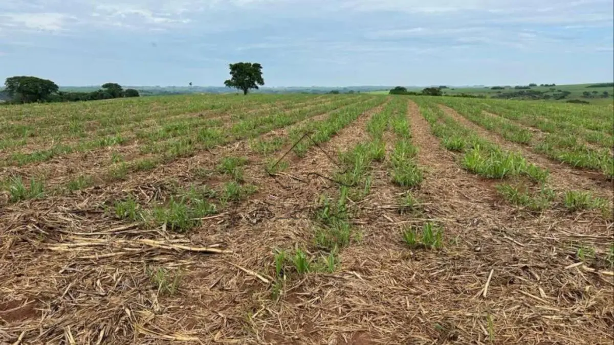 UMA PARTE DE TERRAS - Boa Esperança, Centro - Frutal/MG,  Com a área de 1,45,00ha. ( FALE COM O LEILOEIRO 035-99710-0861 )