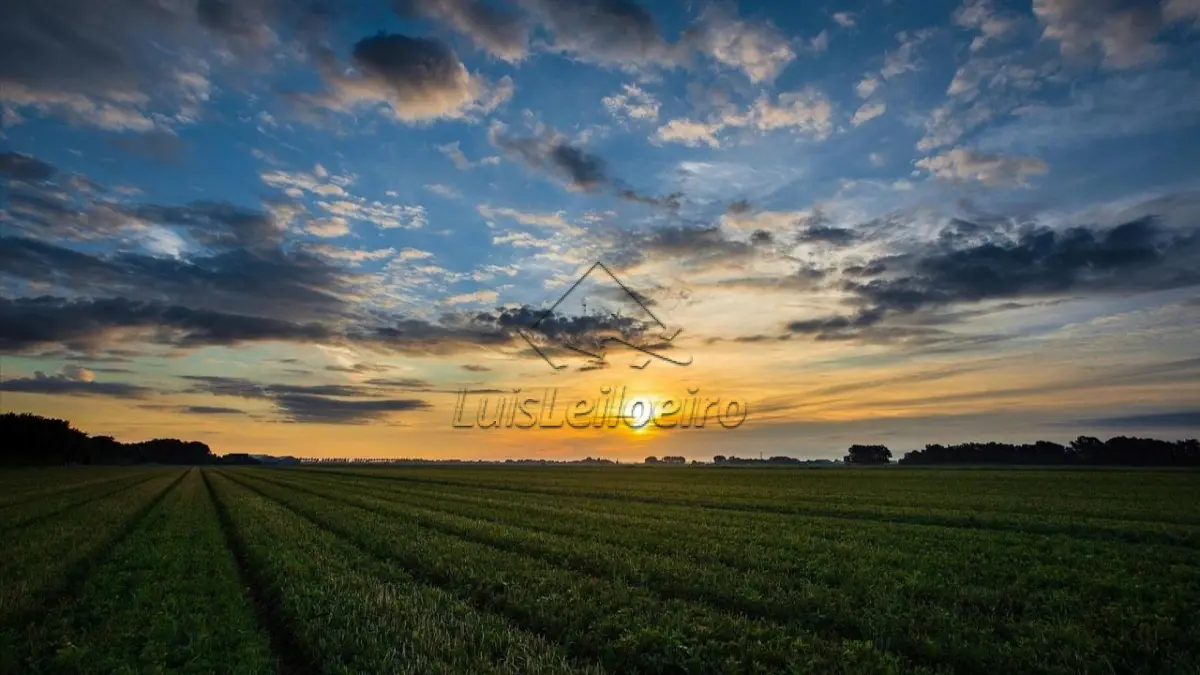 FAZENDA TERRA SECA - 75 HECTARES