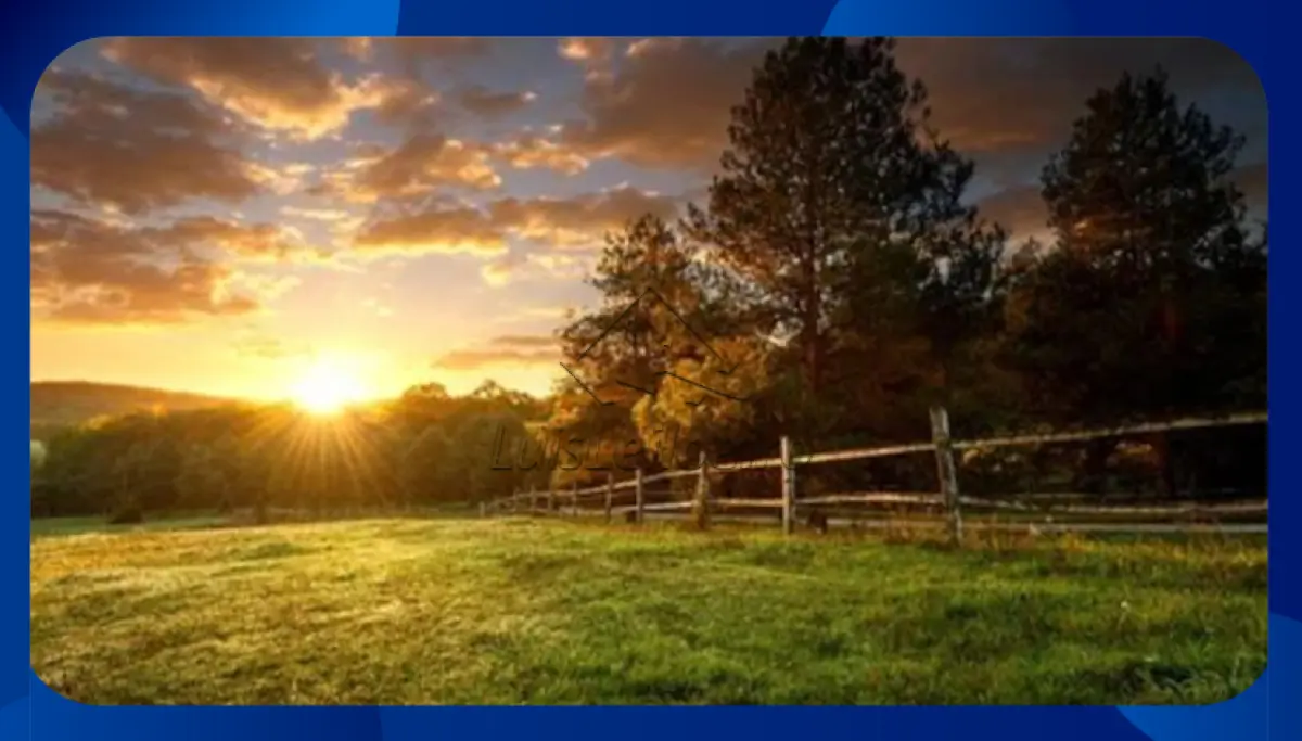 LOTE 117 - FAZENDA - Comodoro/MT, Área de 473 hectares (4.730.000m²)