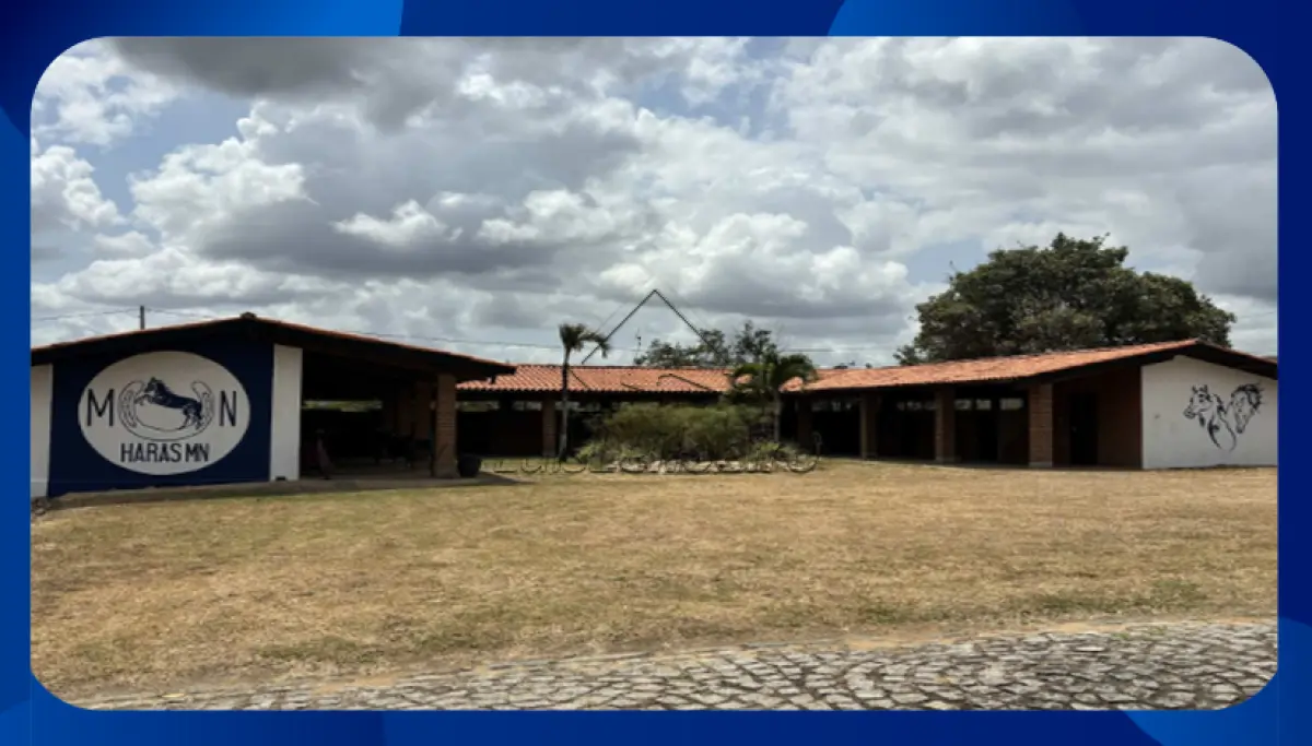 LOTE 025 - FAZENDA  - Imóvel denominado "Fazenda Salgadinho", localizado em Queimadas, Timbaúba/PE, com área de 35,64ha e benfeitorias com área construída de 7.995,11m², sendo 5.055,61m² de construções e 2.939,50m² de galpões.