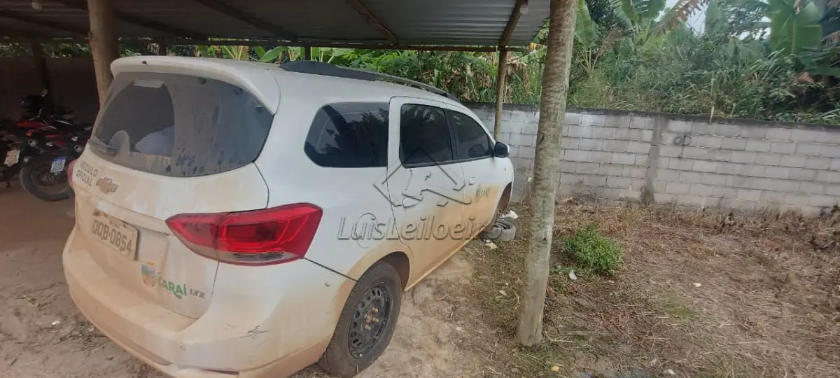 LOTE 035 - SPIN 2019