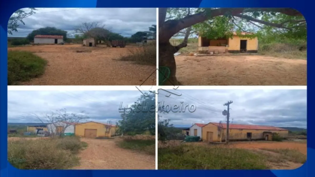 LOTE 016 - GLEBA DE TERRAS - Gleba de terra com área de 18,00 ha, com benfeitorias, situada no Sítio Alagoinha, Fazenda São Gonçalo, à margem direita da Rodovia BR-316, na zona urbana da cidade de Araripina/PE.