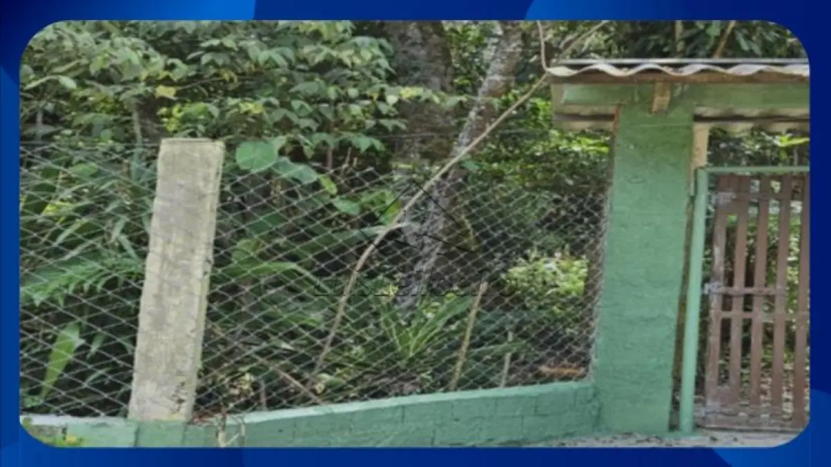 LOTE 060 - TERRENO COM BENFEITORIAS - Servidão de Passagem 03, Rua Lontra, nº 305, com pequena construção, murado com portão, Tatetos, São Bernardo do Campo/SP, Área de 1.000m²