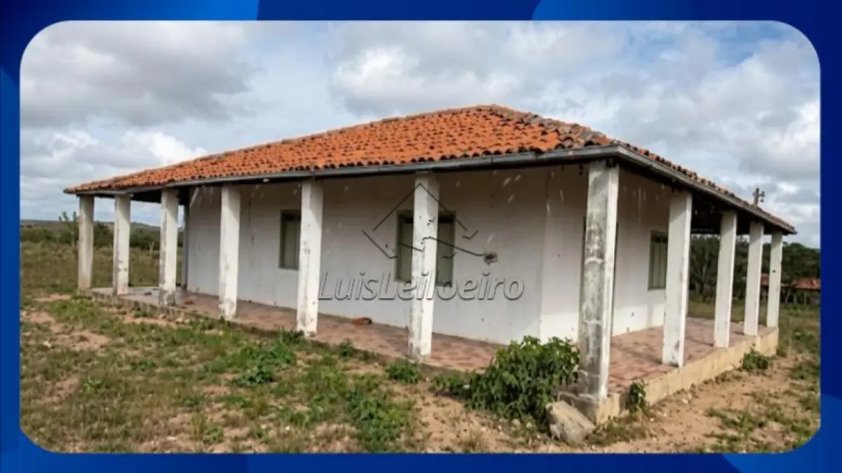 LOTE 063 - FAZENDA - Denominada Pitombeira (atualmente conhecida como Fazenda Venturosa), situada na área rural do município de Santa Brígida/BA. A propriedade compreende uma extensão de 400 tarefas (equivalente a 133 hectares).