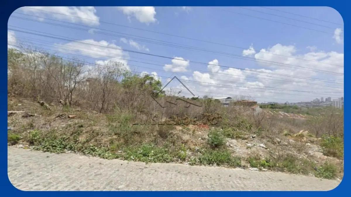 LOTE 089