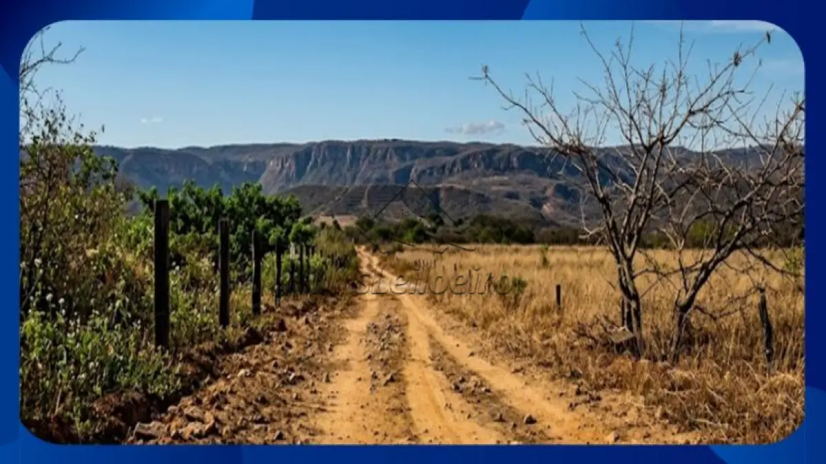 LOTE 016
