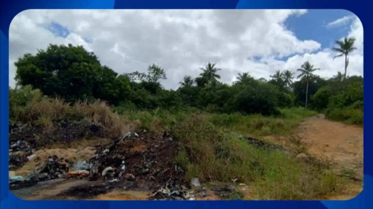 Gleba rural com 70.000 m² em leilão