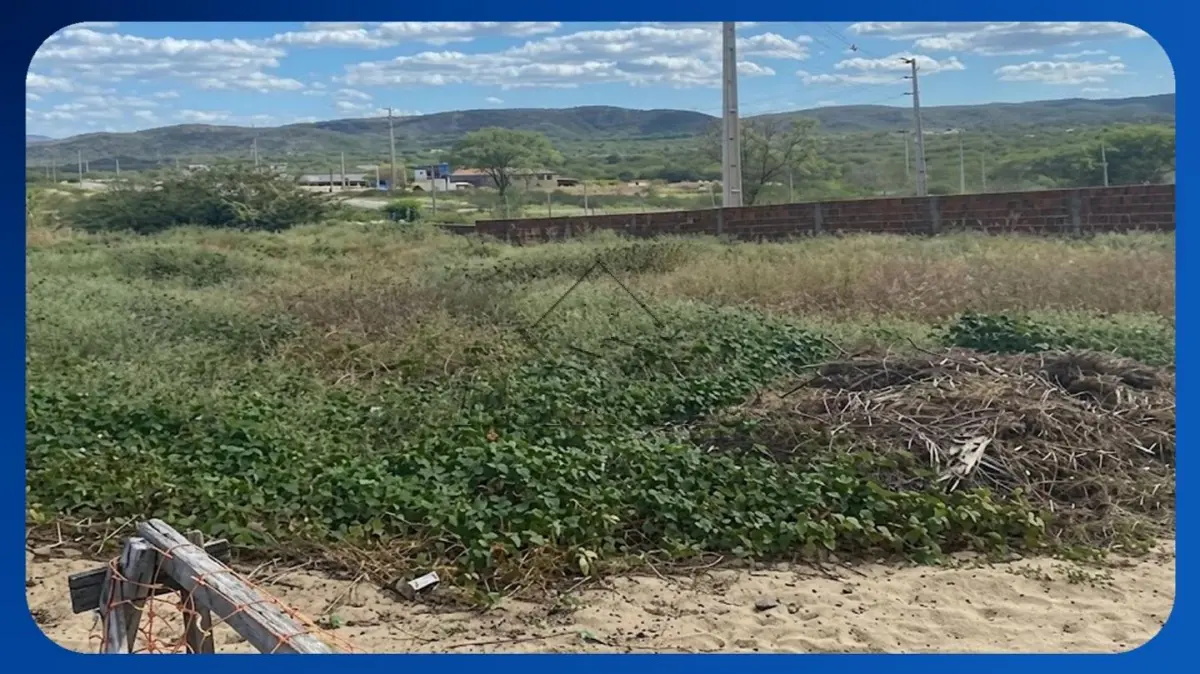 LOTE 060