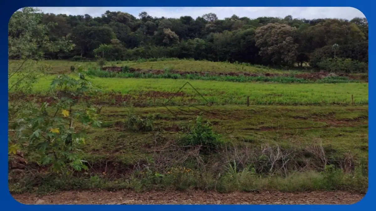 LOTE 040