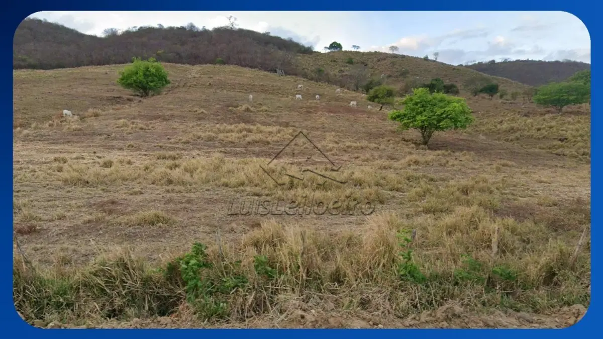 LOTE 014