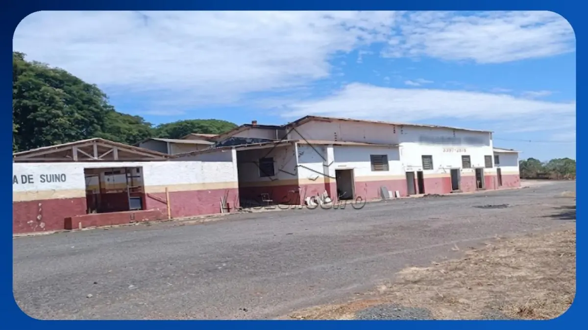 LOTE 046