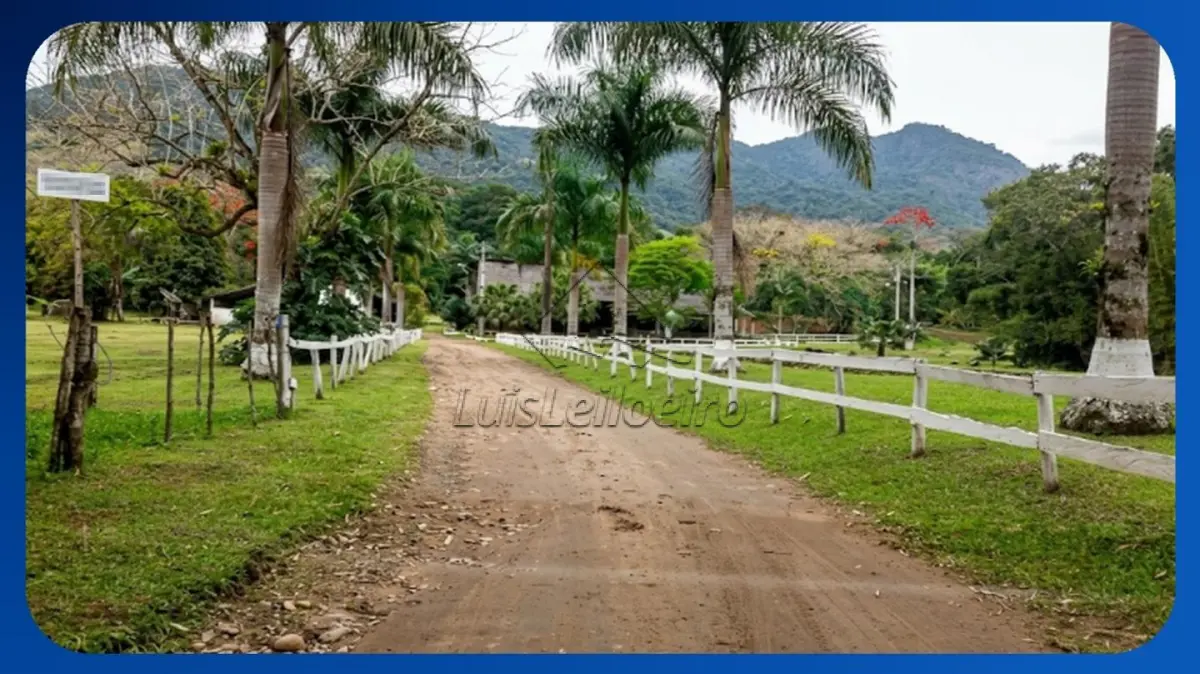 LOTE 095