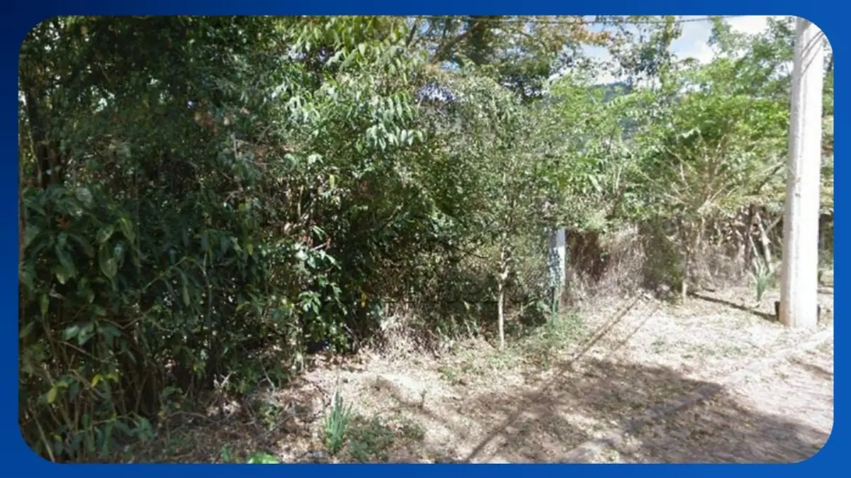 LOTE 039