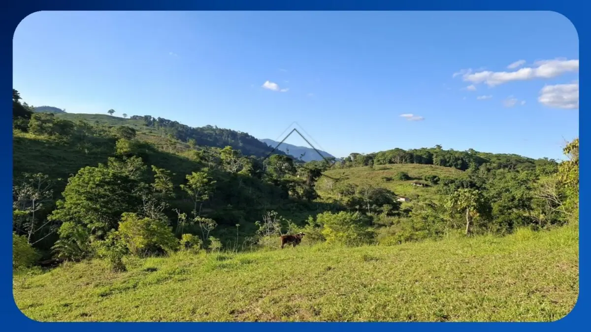 LOTE 046