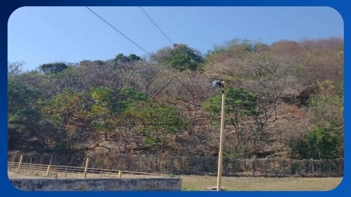 LOTE 032