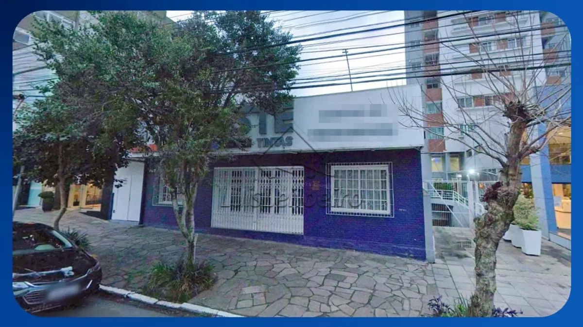 LOTE 113
