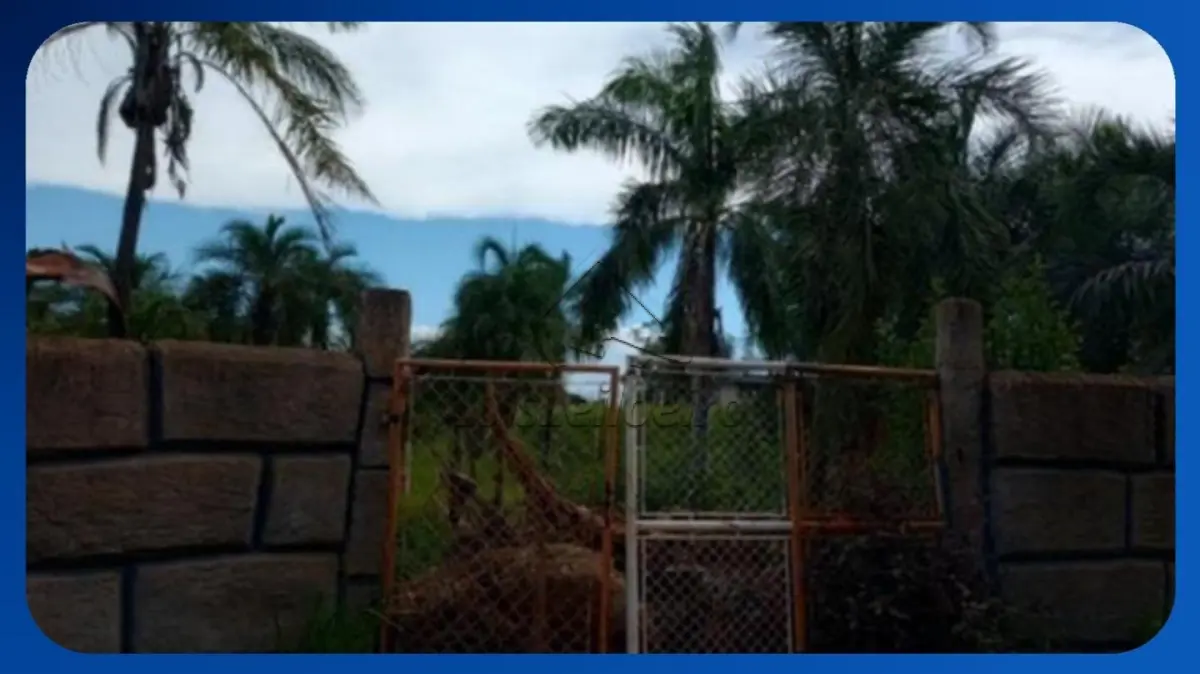 LOTE 048