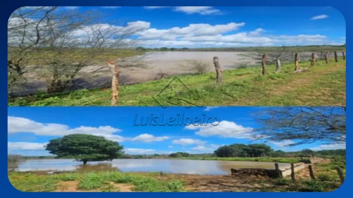 LOTE 059