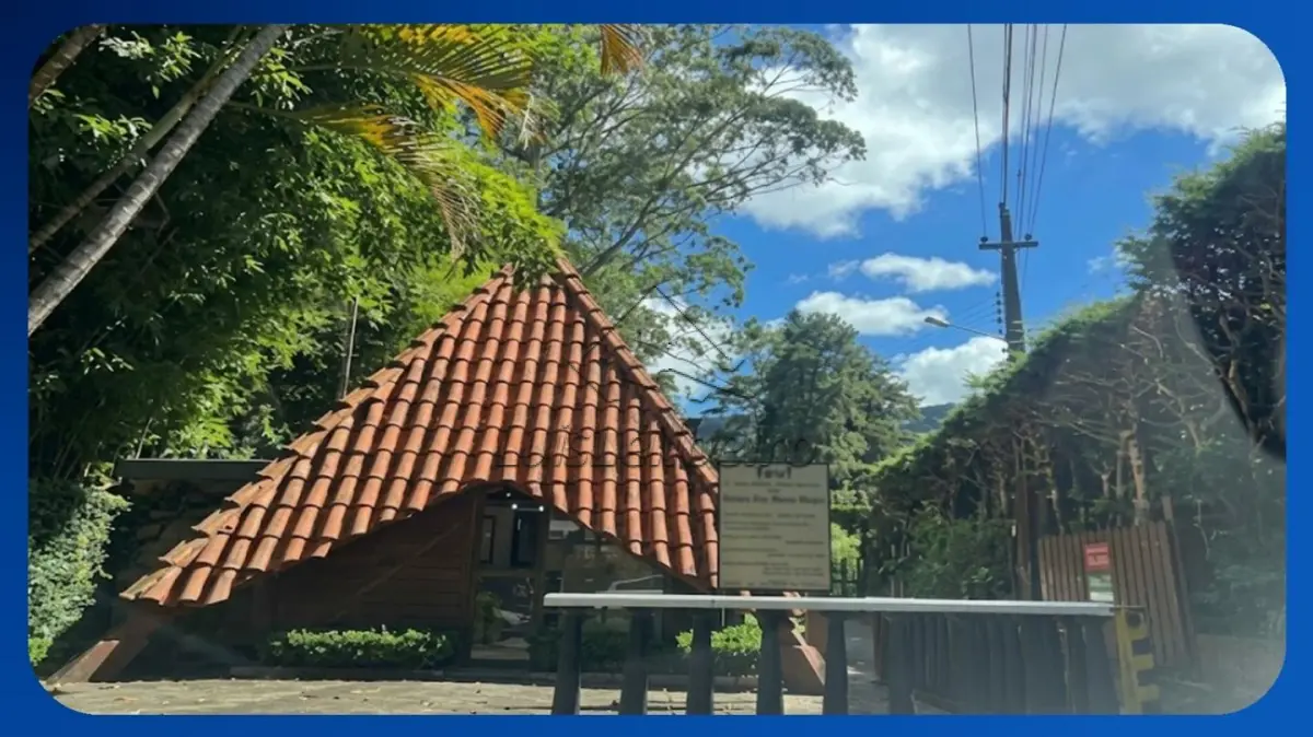 LOTE - Lote 118, Alameda das Quaresmas, Paço de São Luiz, Quebra-Frascos…