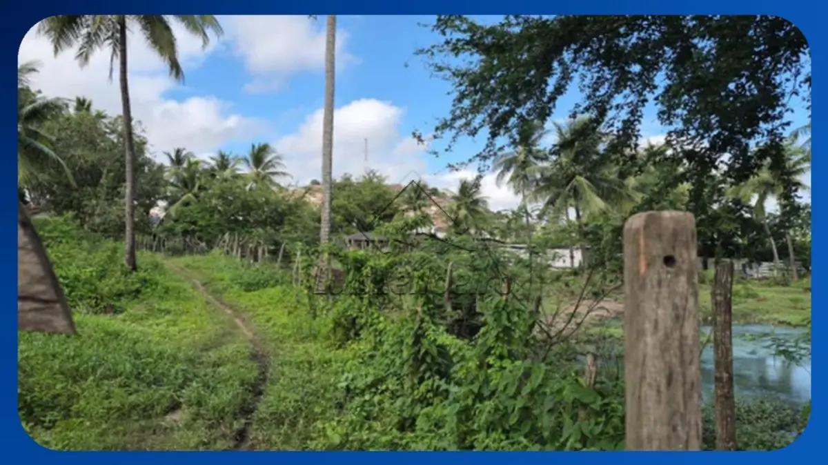 LOTE 013