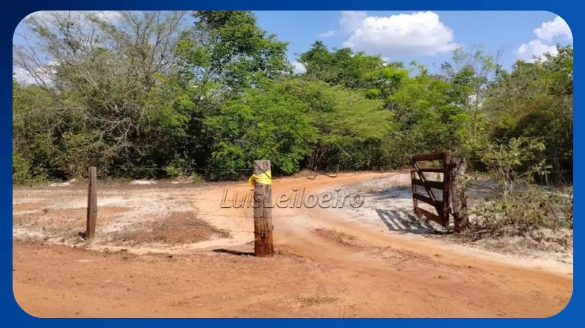 LOTE 010