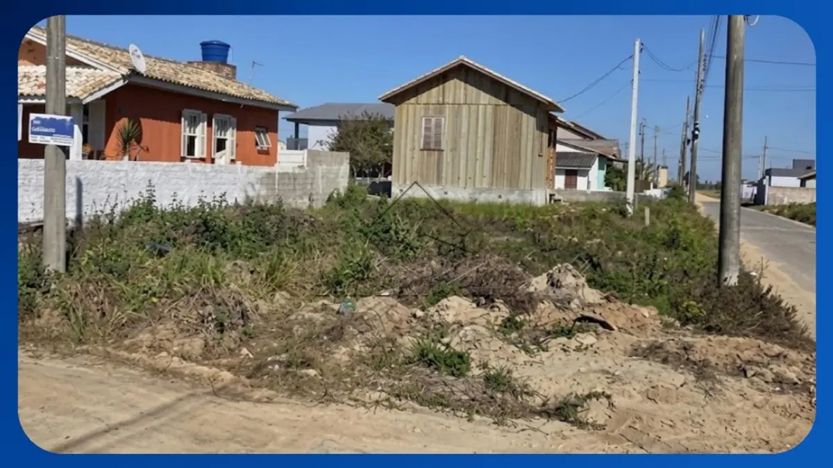 LOTE 115