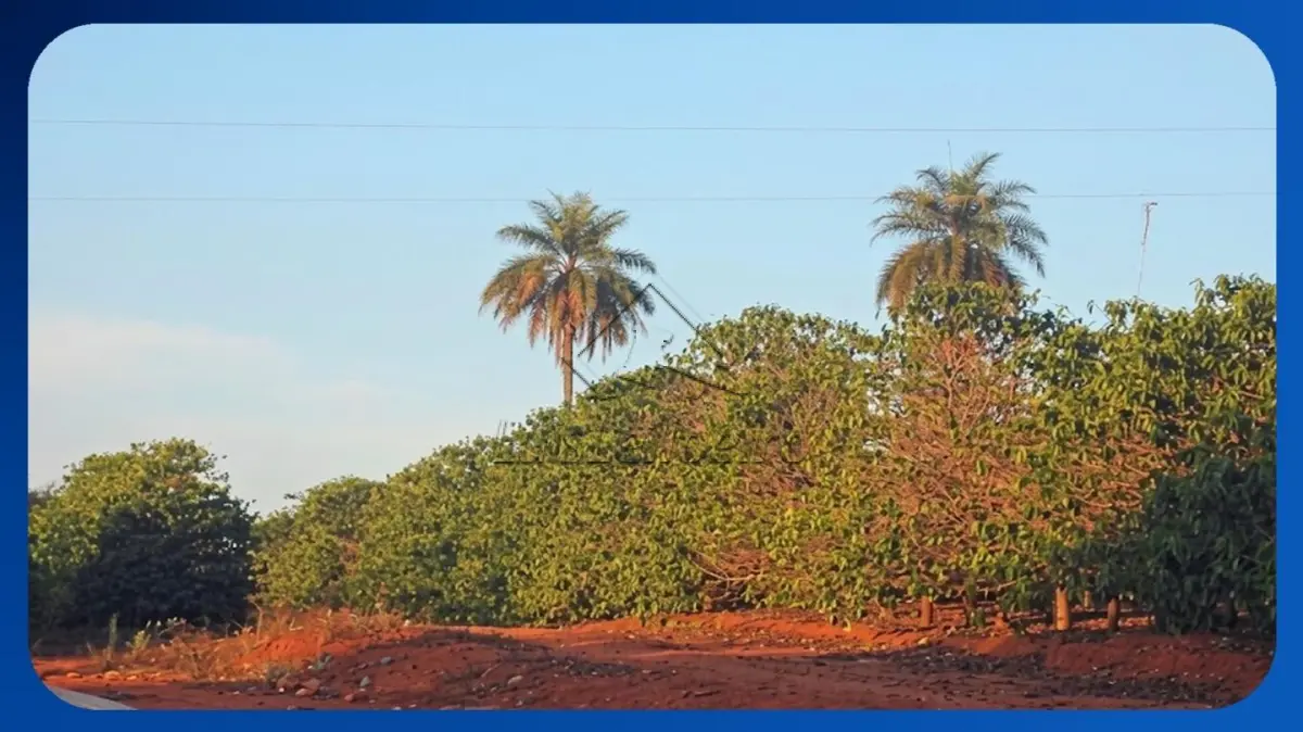 LOTE 057