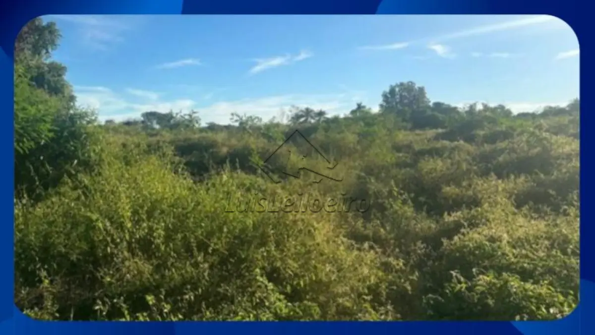 LOTE 055 - GLEBA DE TERRAS - Parte da Área nº 6, Fazenda Barra da Onça, Governador Valadares/MG