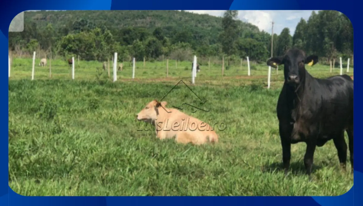 LOTE 029 - Lote - Lote n.º 16 da quadra B-3, Loteamento Ponto Alto