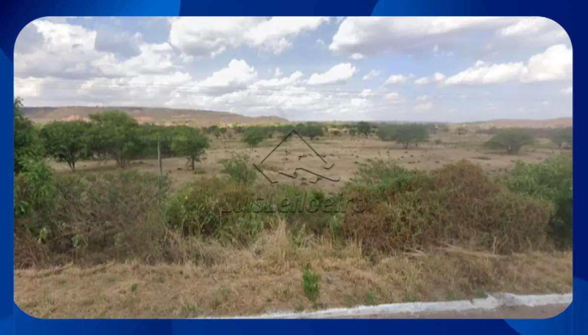 LOTE 031 - UMA GLEBA DE TERRAS, R. Joaquim Jose Modesto, SITUADA NO SÍTIO ALAGOINHA, ZONA RURAL, ARARIPINA/PE