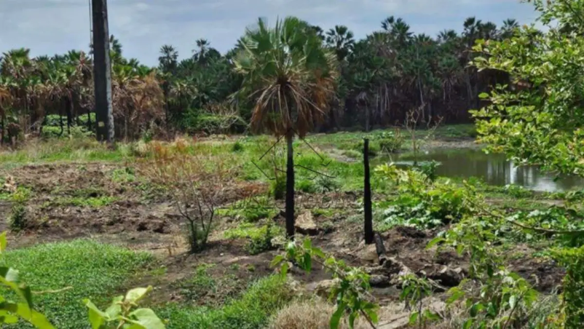 LOTE 014 - Sítio - R. Tibúrcio Pereira , Bairro Cajazeiras , SN, Sítio Cajazeiras, com área total de 165,731,02m²
