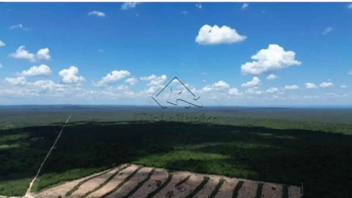 LOTE 032 - FAZENDA - Fazenda Baraúna, Barra/BA - 3005,00 hectares.