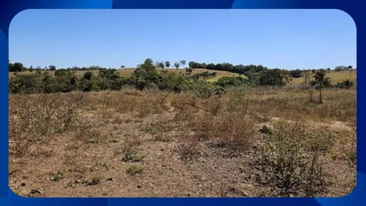 LOTE 023 - GLEBA DE TERRAS - Área de 3 hectares (30.000m²), desmembrada do Engenho Nova Esperança, Km 121 da BR 101, Palmares/PE