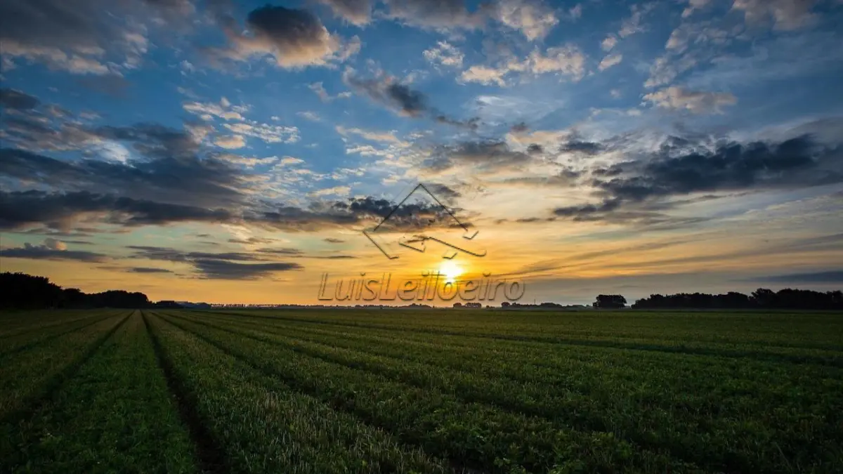 LOTE 030 - Gleba situada no Sítio Leite, localizado neste Município de Juazeiro do Norte/CE.
